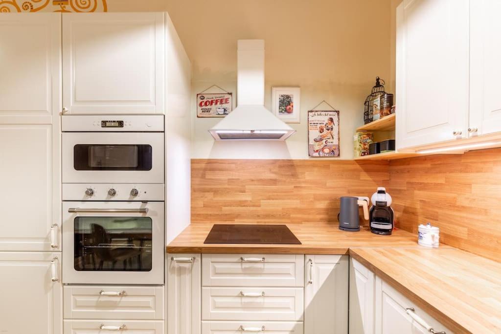 Bourgeois Boheme Apt. 88 M² City Center 布达佩斯 外观 照片